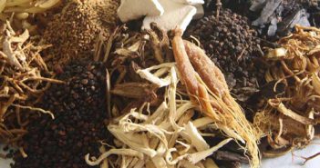 Điều trị sùi mào gà bằng thuốc Nam – Nên hay không nên ? thuốc nam